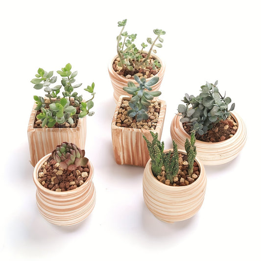 SUN-E 6pcs/Set Mini Ceramic Plant Pots - Decorative, 2.5Inch/6.5cm, with Drain Hole, Perfect Gift for Women, Ideal for Succulent, Cactus, Flower, Home, Office, Outdoor Garden