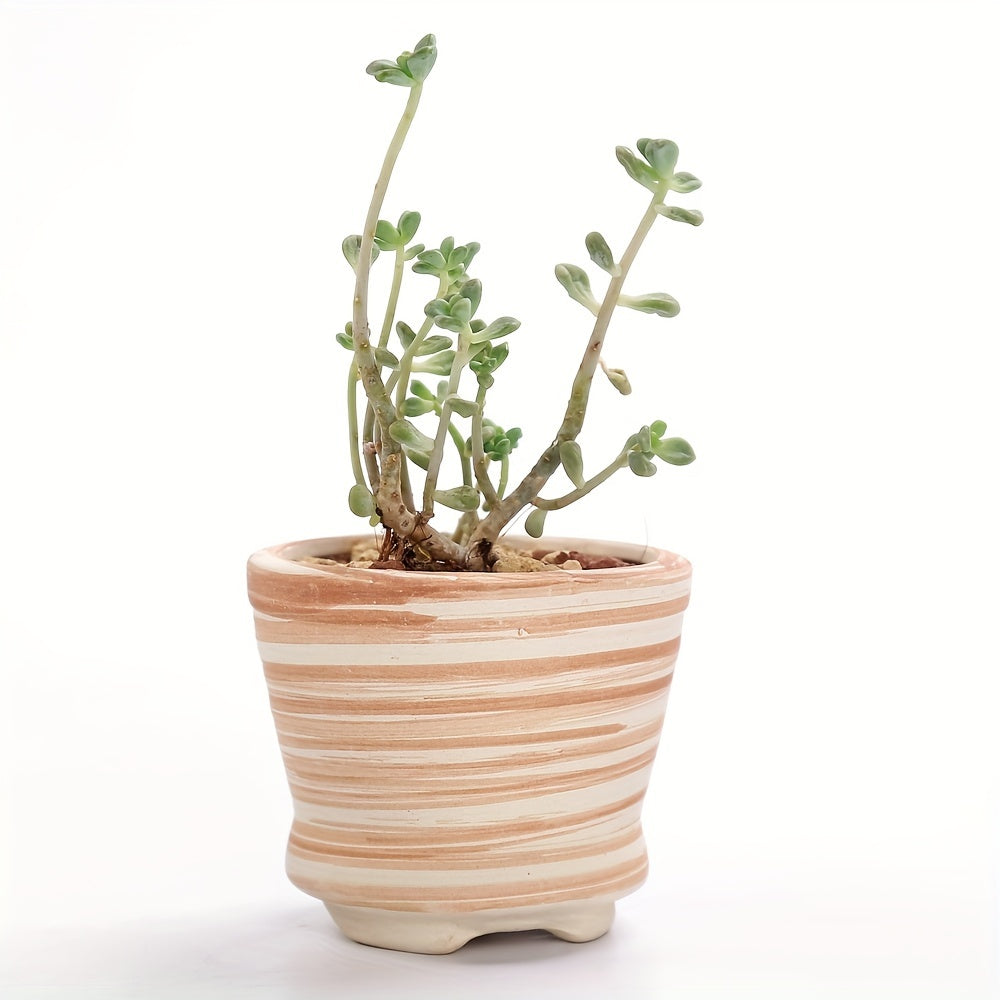 SUN-E 6pcs/Set Mini Ceramic Plant Pots - Decorative, 2.5Inch/6.5cm, with Drain Hole, Perfect Gift for Women, Ideal for Succulent, Cactus, Flower, Home, Office, Outdoor Garden
